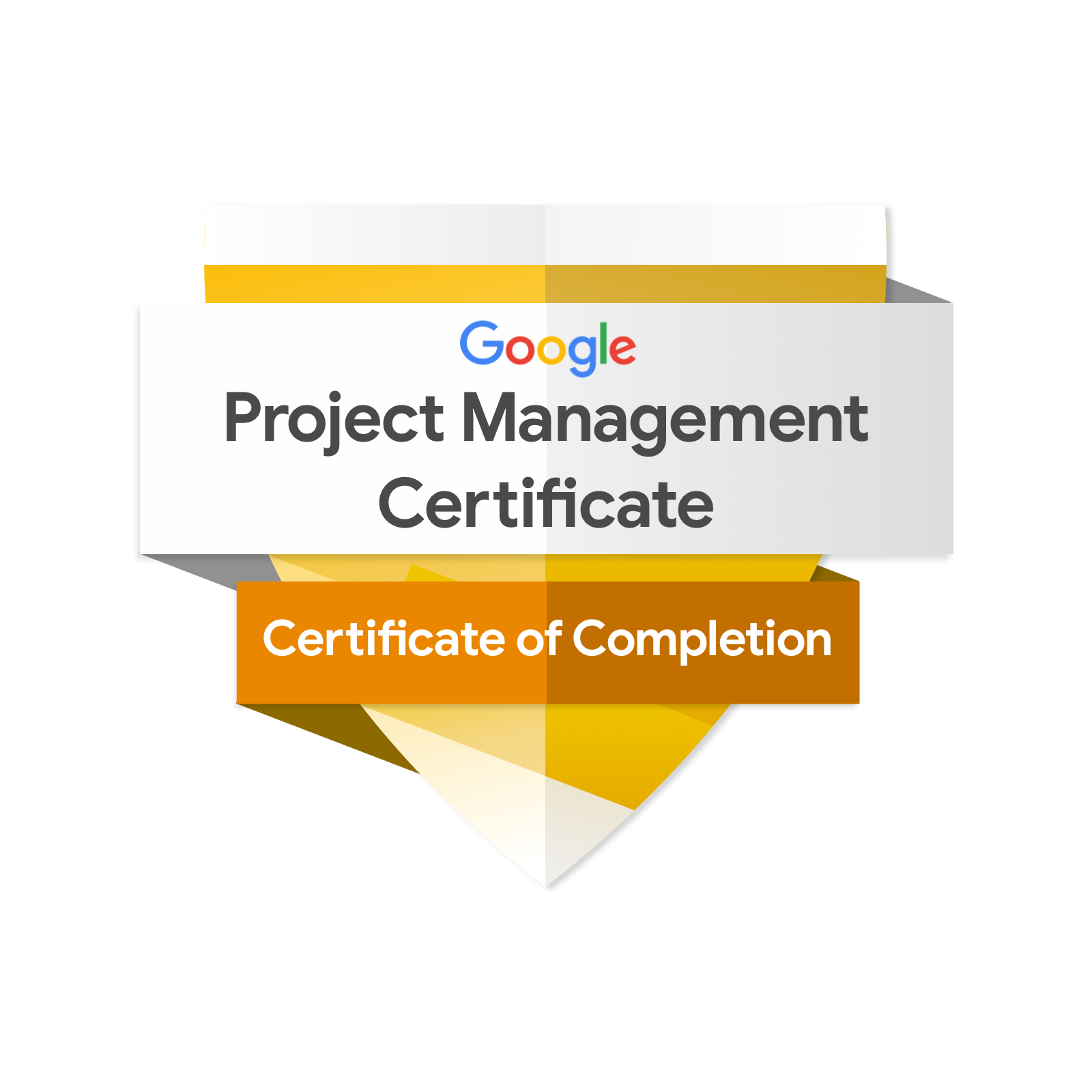 Google Project Management